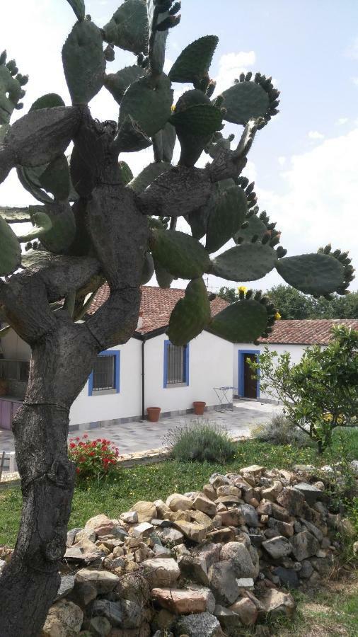 Bed and Breakfast Casale Diletta à Castiadas Extérieur photo